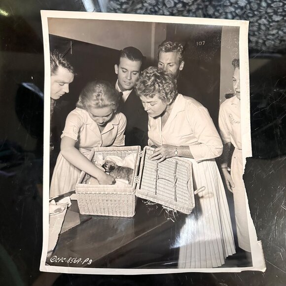 Vintage 1960 Hollywood Photo Of Tuesday Weld Dick Clark Tab Hunter & More With P - Picture 2 of 14